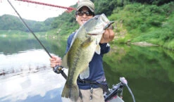 Fish Arrow Free Rig Sinker Tungsten -Sportfischen Geschäft FA 4573251342053r 5