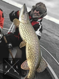 Eastfield Wingman Curly 23cm, 77g -Sportfischen Geschäft wingman curlr 3