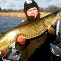 Eastfield Wingman Curly 23cm, 77g -Sportfischen Geschäft wingman curlr 4