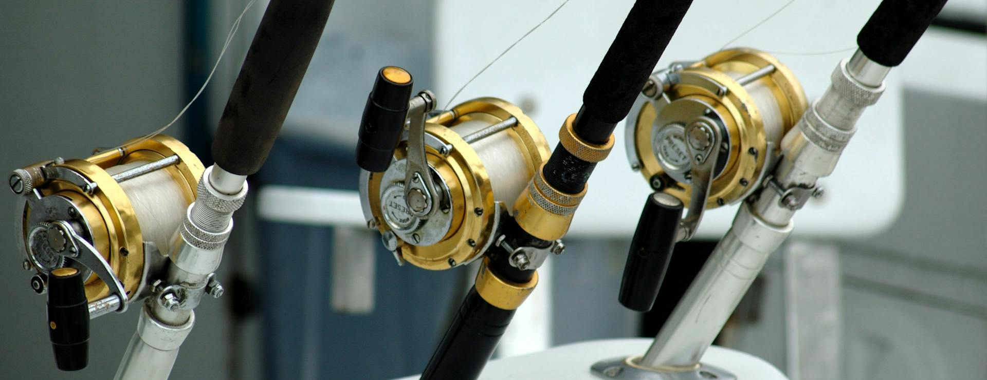 Sportfischen Geschäft -Sportfischen Geschäft pexels pixabay 209810